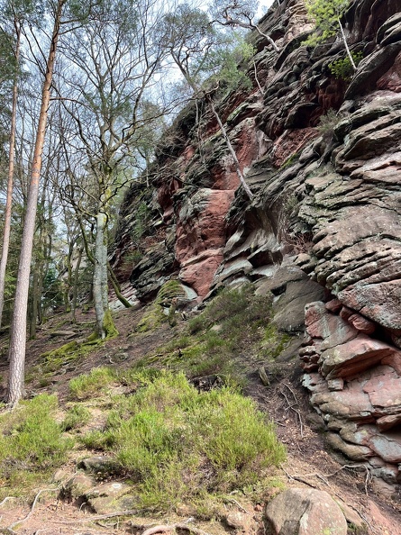 24-03-01 14-58-50 8882.jpeg